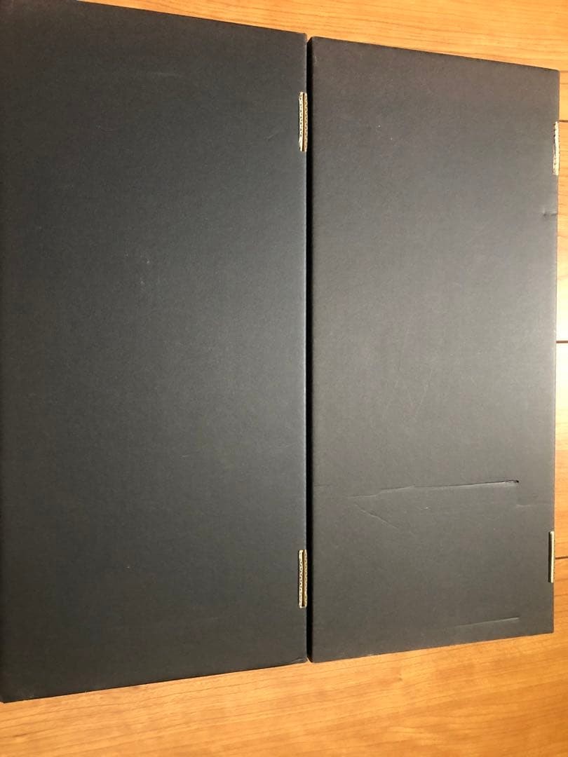 White Falcon 120 set Frog s - Image 7