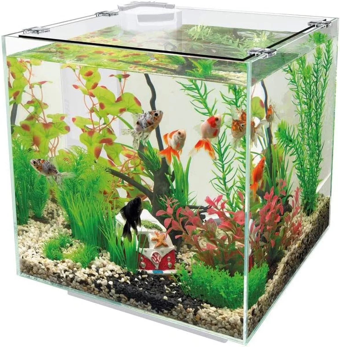 Superfish QUBIQ 30 Liter Aquarium mit Filter und ECO Heizung in weiß od.  schwarz