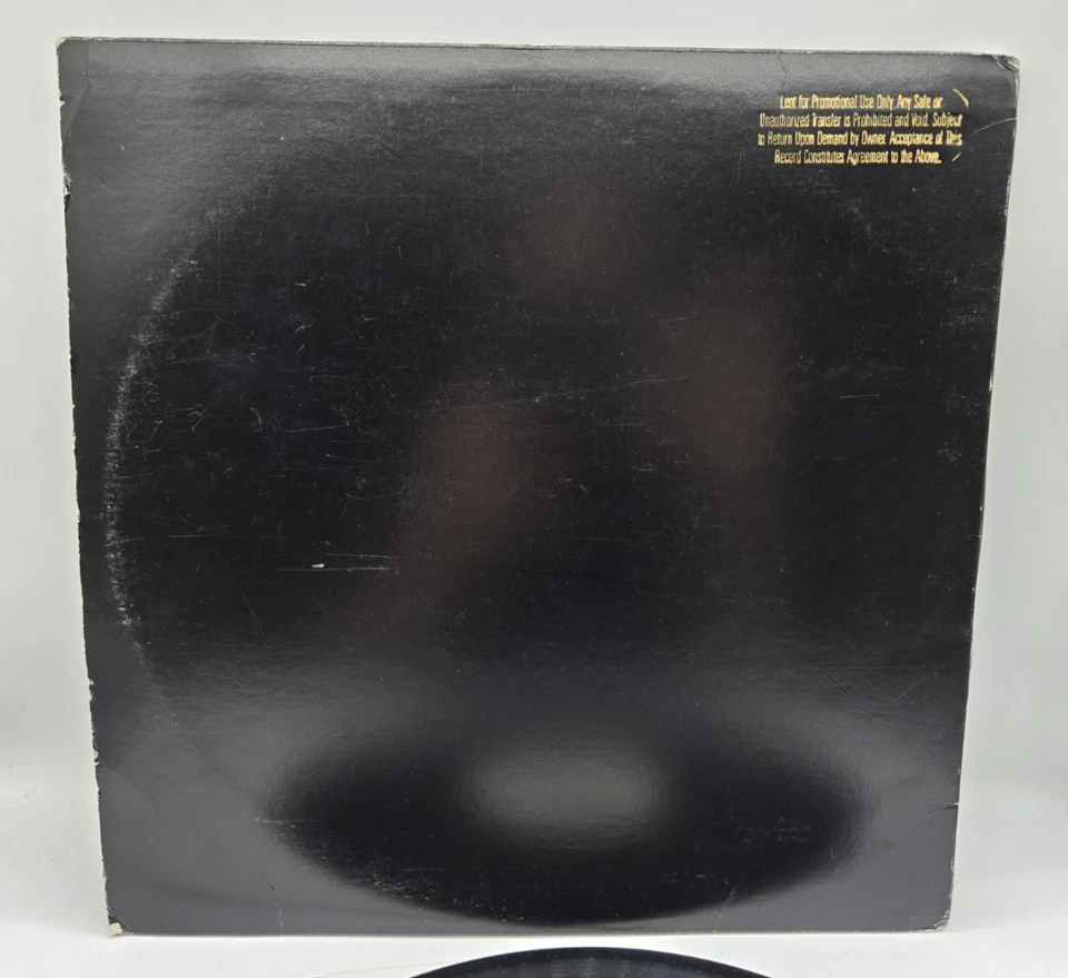 Terry Ganzie Heavy Like Lead Full Reggae Vinyl LP Record Album PRO-1453-DJ Foto 4 de 4