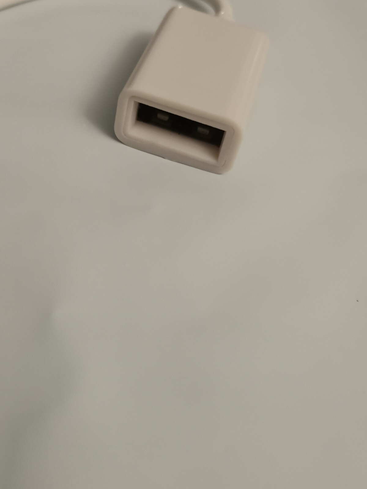 Foto 15 di 16