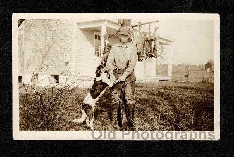 HUNTING DOG HUNTER SHOTGUN AMMO BELT RABBITS OLD/VINTAGE PHOTO- H625