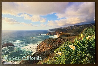Hurricane Point View - Big Sur, California postcard
