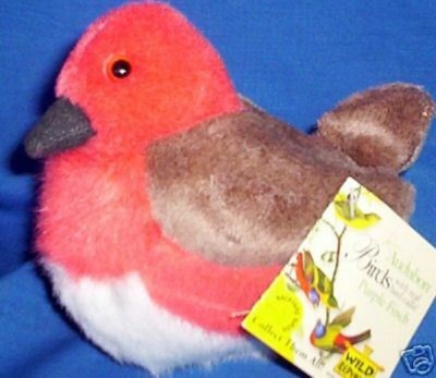 THE ORIGINAL AUDUBON WILD REPUBLIC PURPLE FINCH SONG BIRD NWT 
