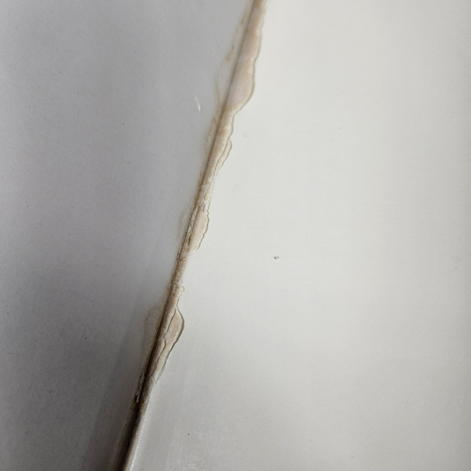 Picture 12 of 17
