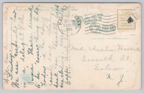 Santa Cruz Park Haines Falls Catskill Mountains White Border Postcard 1920s - Picture 2 of 2