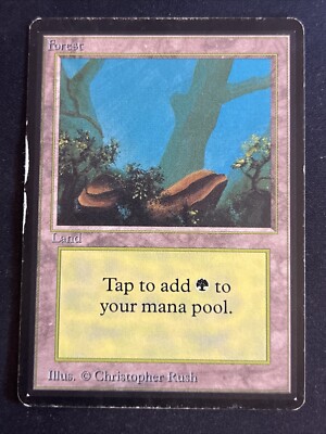 1x Forest (A) Limited Edition - Beta HP MTG Magic the Gathering x1 MKE