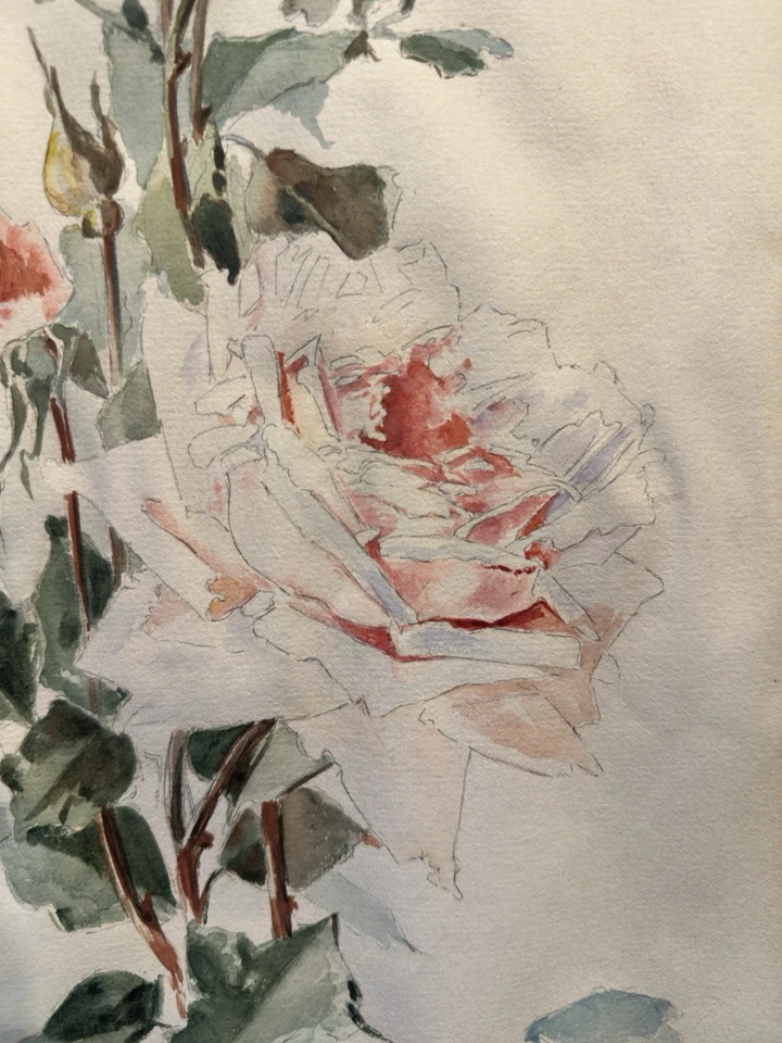 Roses signée perraud ? : Pierre-Joseph Redouté Paul de Longpré Madeleine Lemaire - Photo 1/4