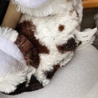 German Shorthaired Pointer Plush Pet Toy “ Birdie” Mutt Nation NWT — photo 5