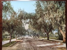 William Henry Jackson Photochromes 9x7 Original. Detroit Photographic Company