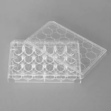 FOR NEST 6/12/24/48 Well Cell Culture Plate Flat Bottom TC 703001/712001 10PCS