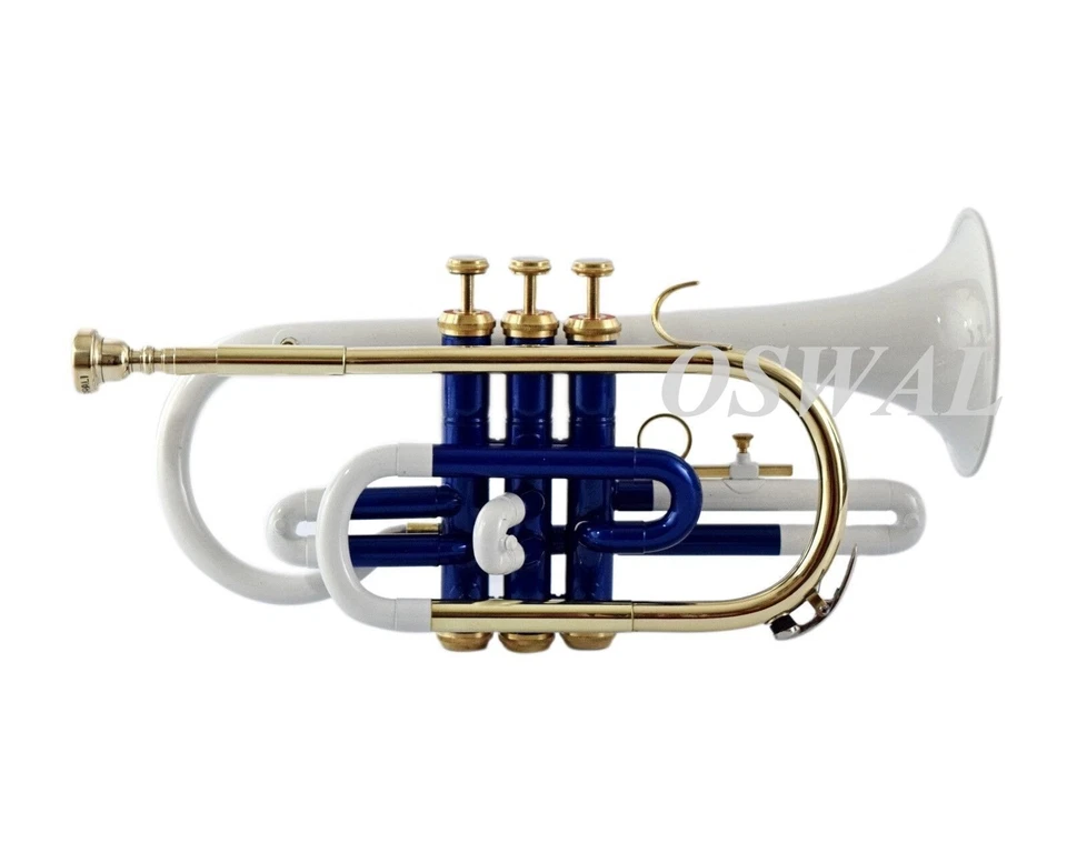 Corneta BLANCO AZUL LATÓN Bb NÍQUEL PLANO ELECCIÓN DEL EXPERTO + ESTUCHE RÍGIDO + BOQUILLA Foto 3 de 4