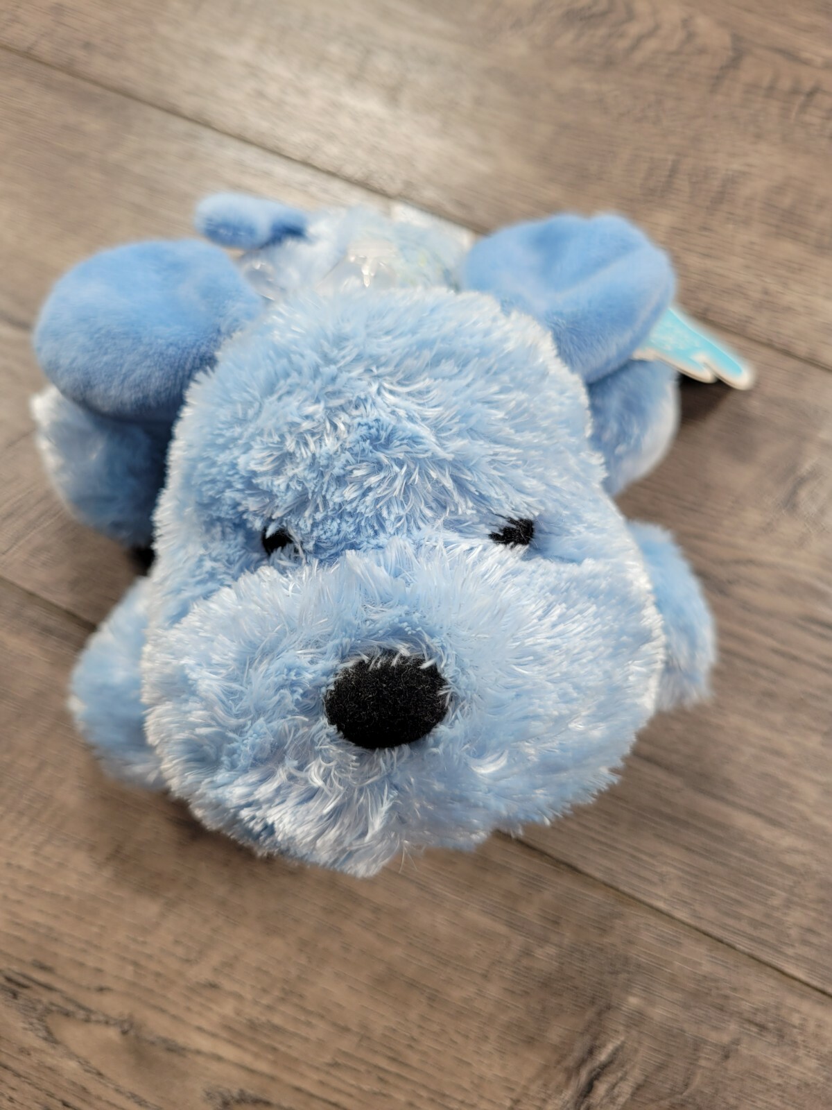 Htf Blue Dog New Baby Child Mine Blue Puppy Dog Plush Toy HTF RARE!! | eBay