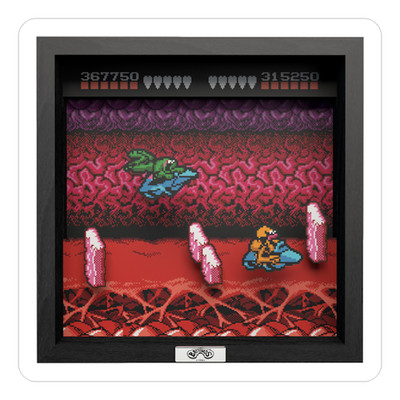 Pixelrahmen - Battletoads - Turbo Tunnel - (9''x9'')