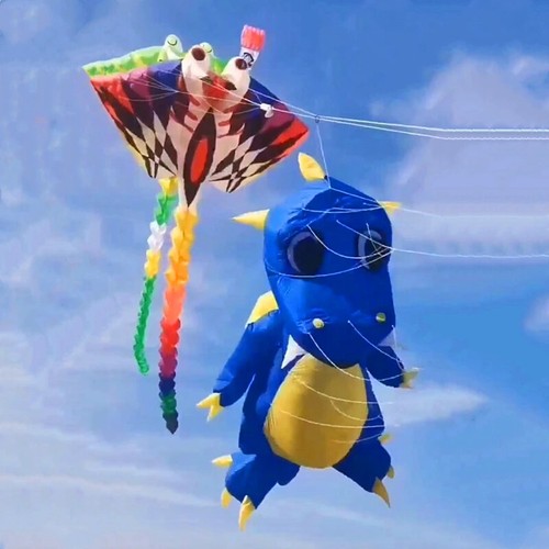 New 500cm Kites Flying for Adults Kites Inflatable Toys Pendant Shows Parachute