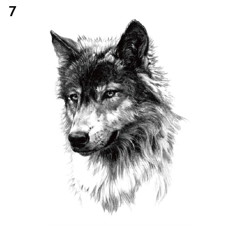 Bild 64 von 73