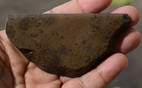 NWA Howardite Meteorite - 4" Fetta di Asteroide Vesta (HED Acondrite, 128g) - Foto 2 di 11