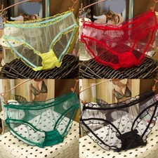 Lace Panties Female Lingerie Transparent See Through Women Underwear Briefs 