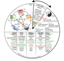 TCM-Grundlagen Drehscheibe