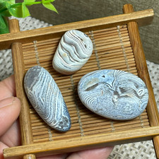 Crazy lace silk striped stone unpolished rough Stone Madagascar 3pcs 34g  E6073