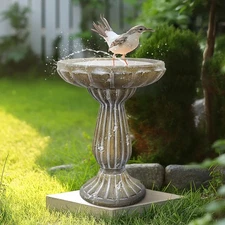 Elegant Concrete Birdbath for Your Yard and Outdoor Living Areas