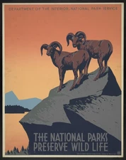 Vintage National Park Service Travel Art Poster Print