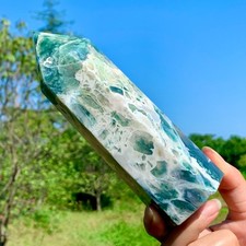 1.32LB Natural Geode Aquatic Plant Water Grass Moss Obelisk Crystal Reiki