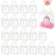 20 PCS Clear Gift Bags with Handles, 5.1x2.8x5.9 Inches Transparent Plastic G...