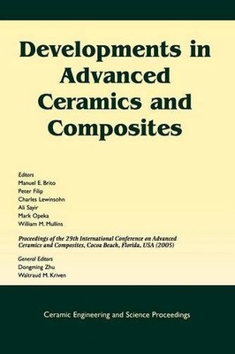Developments in Advanced Ceramics and Composites (Ceramic Engineering and Scien 