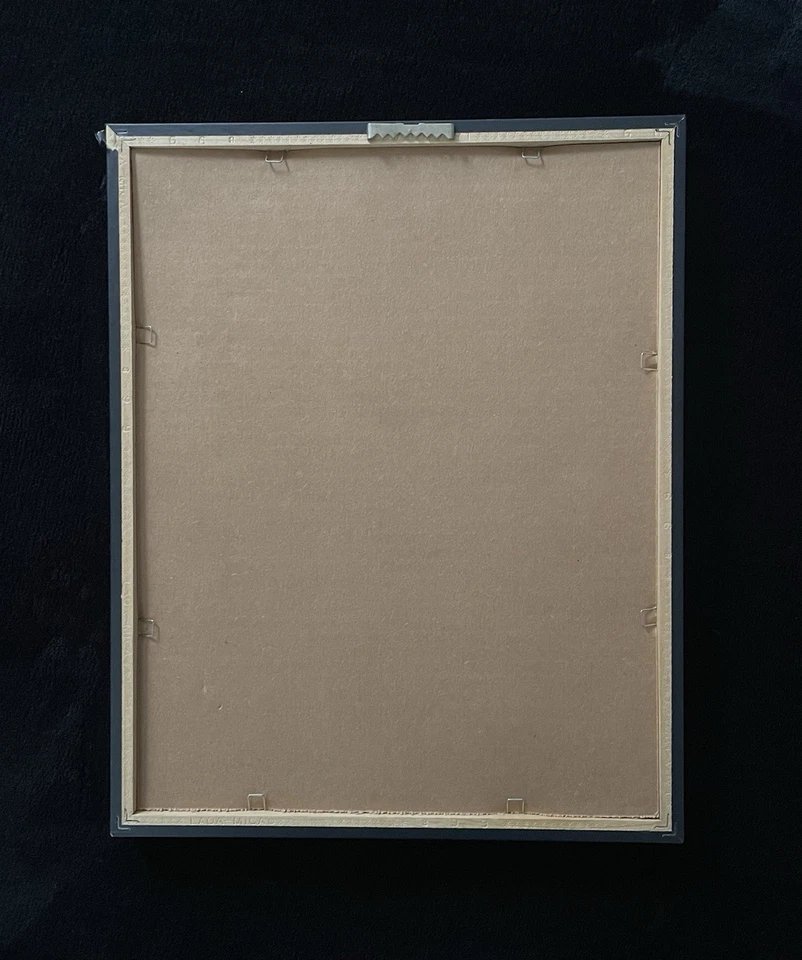 Ken Griffey Jr. Foto enmarcada y enmarañada con moneda Cincinnati Reds Salón de la fama #221/1.000 Foto 4 de 4