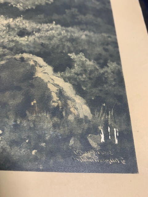 Picture 5 of 5