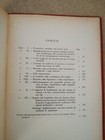 Foto 3 di 3