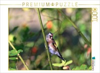 Calvendo Puzzle Junger Distelfink 1000 Teile Puzzle Quer | 1000 Teile Lege-GrößE