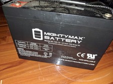 Mighty Max Rechargeable Sealed Lead Acid Battery Not Charged 12 V 100 AMP