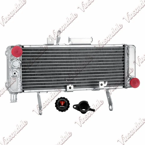 RADIATOR ASSY, WATER *{SV650SK3}*