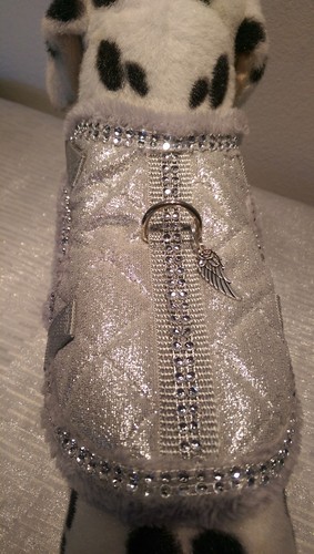 Softgeschirr warm gefüttert Brustgeschirr Hundegeschirr silbergrau Halsband XS-M - Bild 18 von 29