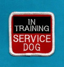 IN TRAINING SERVICE DOG - 2.5" x 2.5" - service dog vest patch