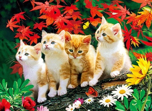 BLACK FRAMED 4 KITTENS ON A LOG - 3D PICTURE PRINT 425mm x 325mm - Picture 2 of 2