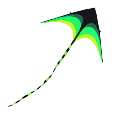 1.6m Big Triangle Kite Easy To Fly Green Kite Primary Stunt Kite for Kids Adults