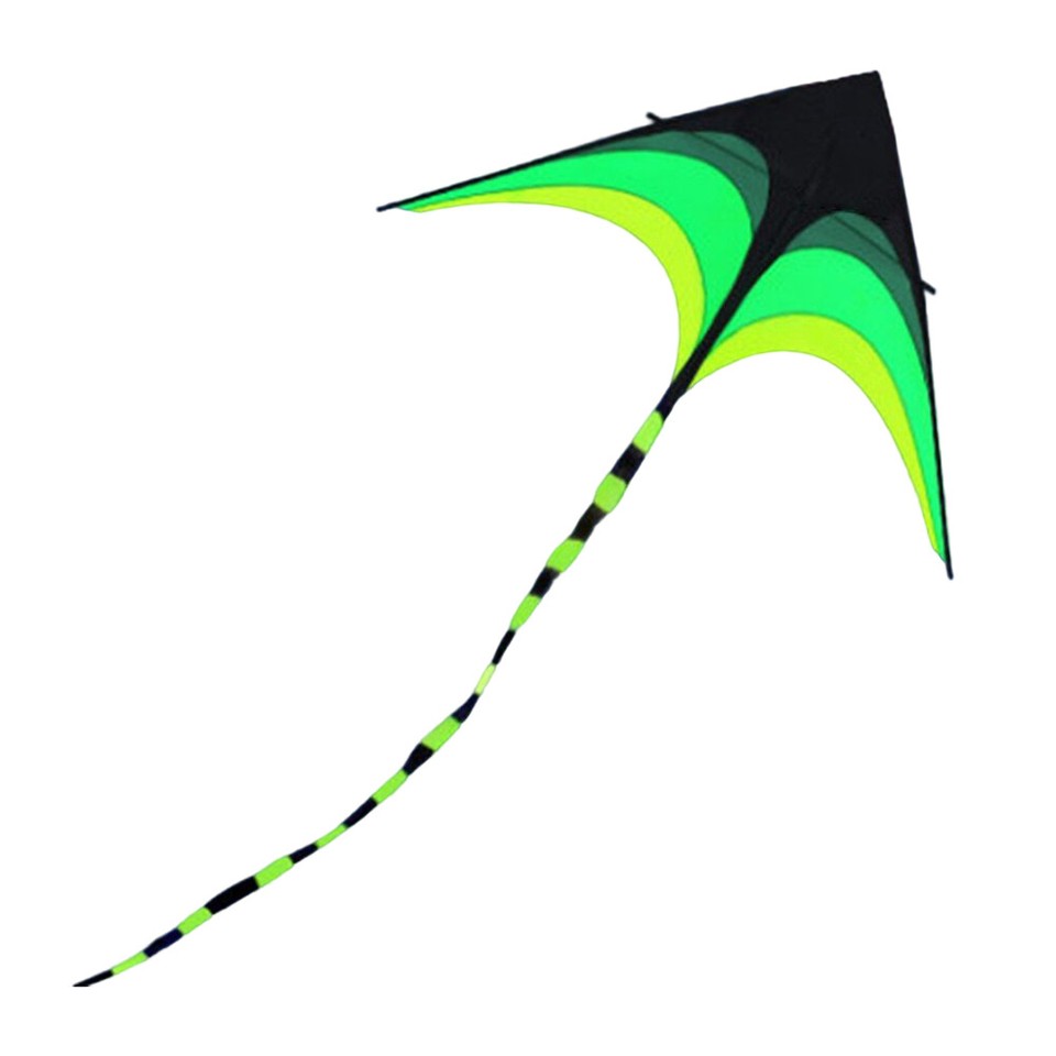 1.6m Big Triangle Kite with Wheel Line Fly Wind Kite Flight Kite for