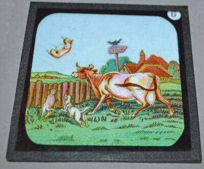 Vintage Glas Laterne Schieber - Kuh Katze Schaf.(6)