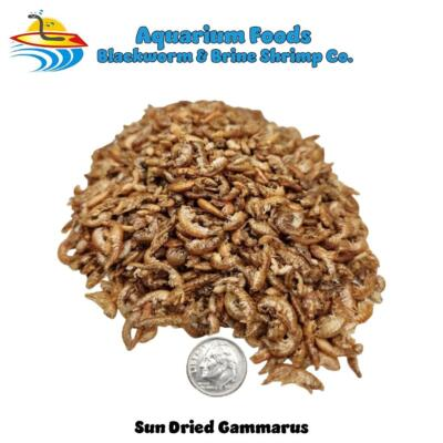 #ad SUN DRIED GAMMARUS TURTLES REPTILES TROPICAL MARINE KOI POND FISH $325.99