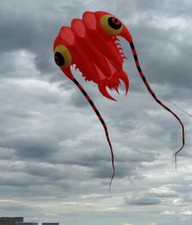 3D 16Sqm 1 Line red Stunt Parafoil Trilobites POWER Sport Kite outdoor toy