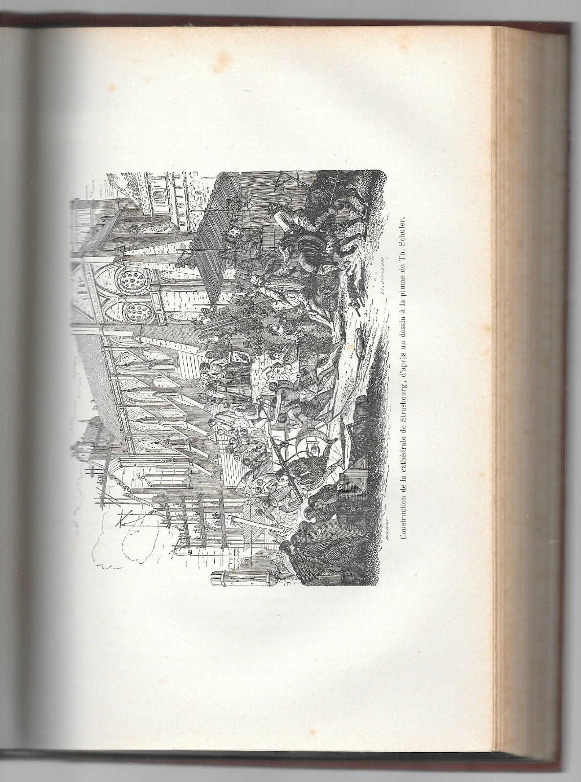 Picture 8 of 12