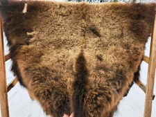 Fresh Tanned Wild Montana Yellowstone Bison Buffalo Robe Blanket Leather Antler