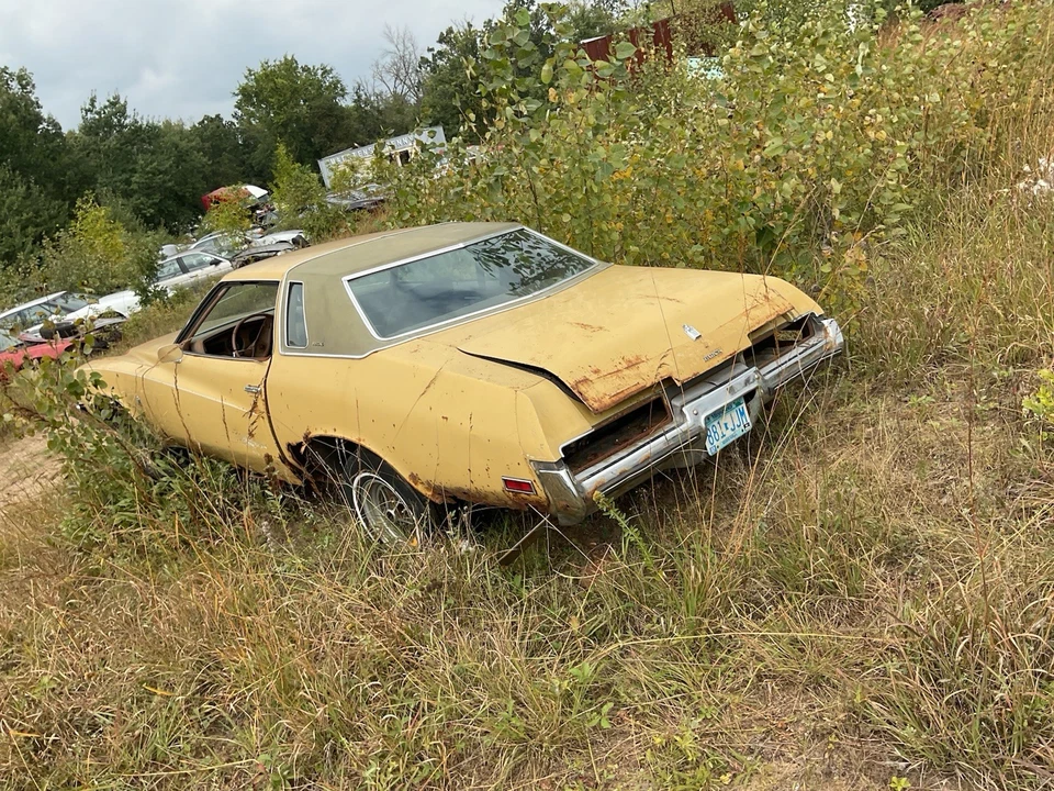 1973-1977 Buick Regal приборная панель Датчик Окружение, Оригинальная Зернистость Дерева. - Изображение 2 из 4