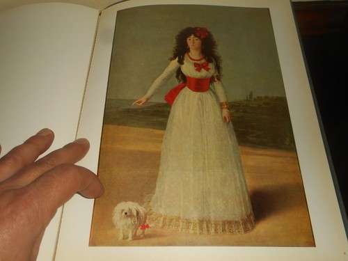 SKIRA Color Prints GOYA 6 PLATES Vintage First Edition 1960's SWITZERLAND - Picture 10 of 12
