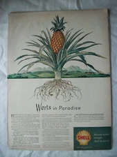 VTG 1945 Original Magazine Ad Shell Gas Gasoline Warts In Paradise Pineapple