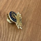 What Is This? T.E.A.M Fleming Wheat Vintage Pin Special Olympics Games — photo 4