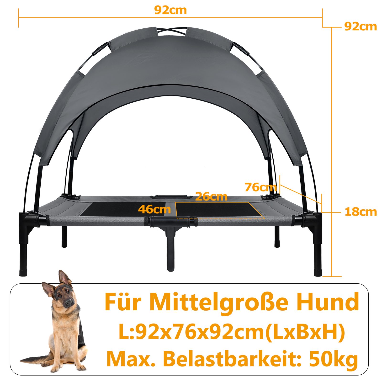Bild 2 von 11
