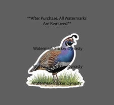 Quail Sticker Waterproof Decal Animal Bird Farm Egg Homestead Gift NEW